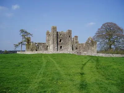 חורבות Bective Abbey בעמק נהר בוין, אתר ימי-ביניימי ליד Bohermeen; אין תמונה חופשית של הטירה עצמה