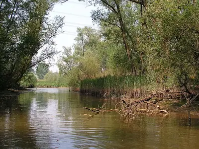 נתיבי מים ב-Hollandsche Biesbosch
