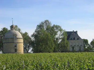 Château Latour ב-Pauillac