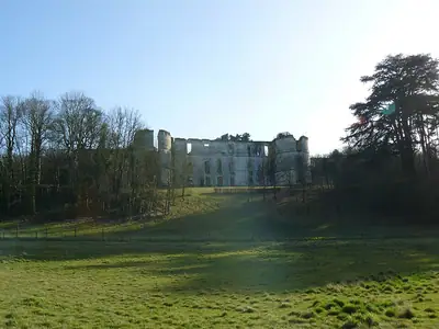 מגדל השמירה המשוחזר של הריסות Château de Montgauger ליד Saint-Épain, במרחק כ-300 מ' מהשאטו שבמודעה; אין תמונה חופשית של המבנה שבמודעה