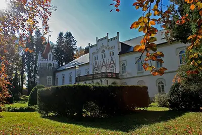 Chateau Herálec, הטירה ההיסטורית בכפר Herálec שבוויסוצ׳ינה