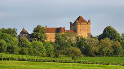 Château du Pin מעל הכרמים
