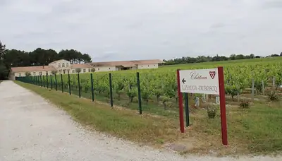 Château Layauga-Duboscq, יקב ב-Queyrac, מוצג משום שאין תמונה חופשית של האחוזה עצמה