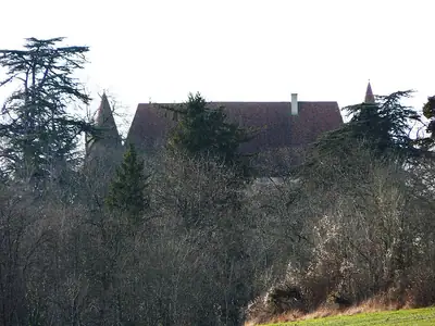 הגגות של Château de Puyferrat