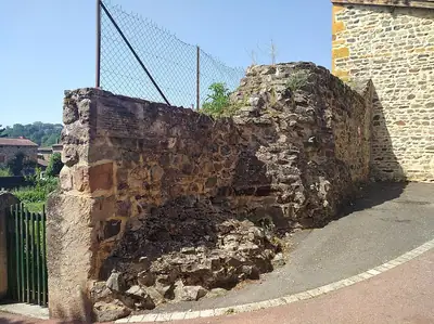 שרידי כנסיית המנזר הישנה Saint-Martin ב-Savigny